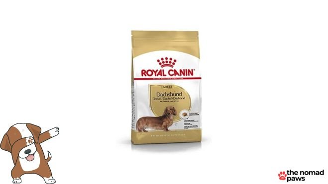 royal canin dachshund adult dry dog food