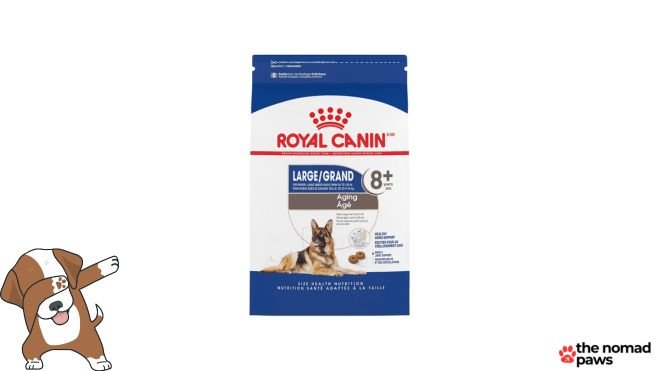 Royal Canin Large Aging 8+ Senior Dry Dog Food, 30 lb bag