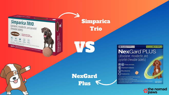 Simparica Trio Vs NexGard Plus