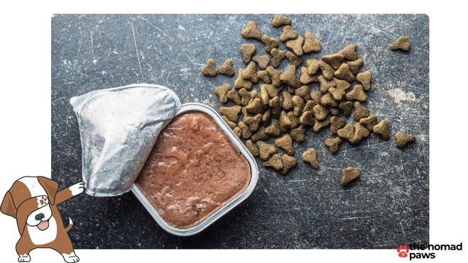 Types of Dog Food Wet vs Dry