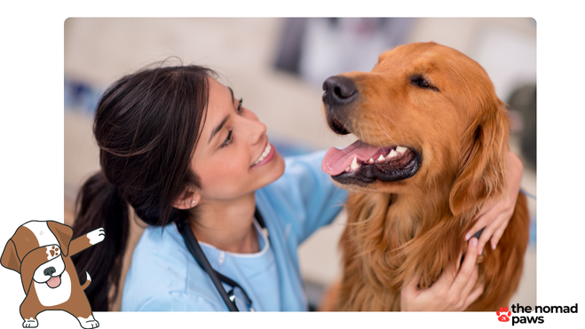 What kills intestinal parasites in dogs?