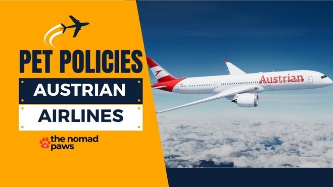 Austrian Airlines Pet Policy – Explained