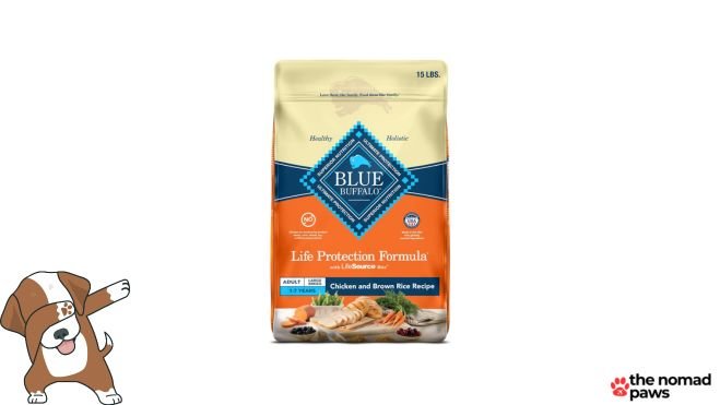 blue buffalo life protection formula large breed adult dry dog food