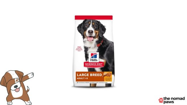 hill's science diet large breed, adult 1 5, large breed