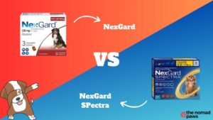 Nexgard Vs Nexgard Spectra: Which Tick and Flea Treatment is Best for Your Pet?