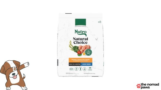 nutro natural choice adult large breed dry dog food