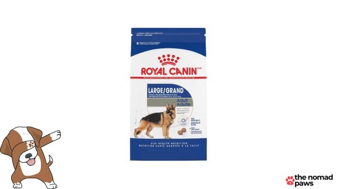 Best dry food for bernese mountain dog best sale