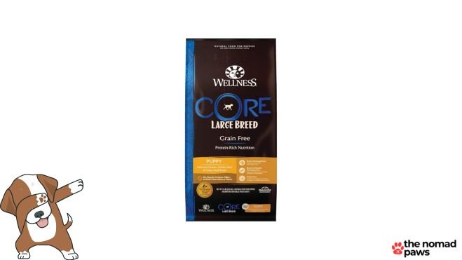 wellness core large breed