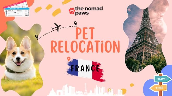 france pet relocation services