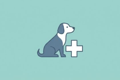 pet health the nomad paws