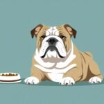 best food for Bulldogs