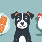 salmon vs chicken for dogs