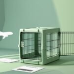 Japan Airlines pet policy