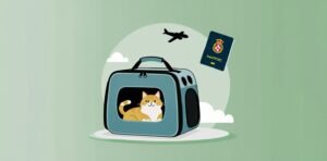 TAP Portugal Pet Policy 2026: Fees, Carrier & Breed Rules