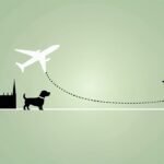 flying with dog from UK to Germany