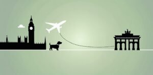 Flying with Dog UK to Germany: 2026 DEFRA Guide