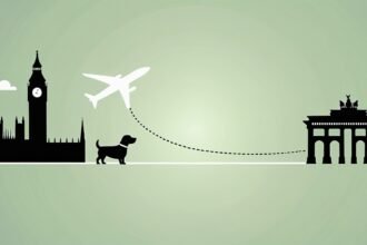 flying with dog from UK to Germany
