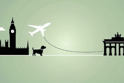 flying with dog from UK to Germany