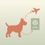 Flying with Your Dog from South Africa to Germany: 2026 Guide