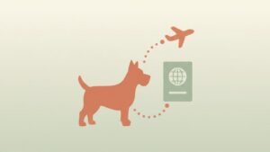 Flying a Dog from South Africa to Germany (2026 Guide)