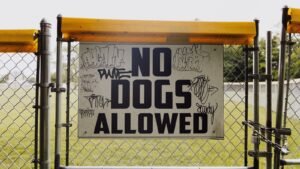 New 2026 Dog Rules: Is Your Park Affected?