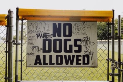 New 2026 Dog Rules Are Hitting UK Councils: Is Your Local Park on the List? (photo: K, Pexels)