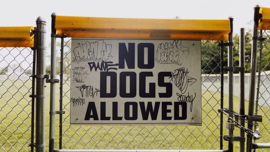 New 2026 Dog Rules Are Hitting UK Councils: Is Your Local Park on the List? (photo: K, Pexels)
