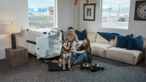 EU’s New Pet Travel Rules for 2026 Explained