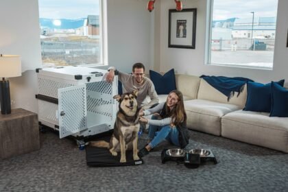 The EU Just Rewrote Its Pet Travel Rules for 2026: What Every Dog Owner Must Know Before Flying (photo: Impact Dog Crates, Pexels)
