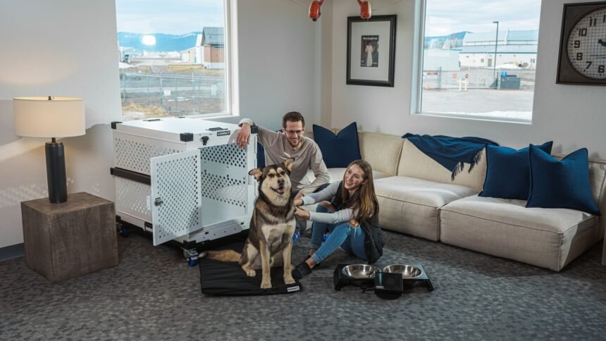 The EU Just Rewrote Its Pet Travel Rules for 2026: What Every Dog Owner Must Know Before Flying (photo: Impact Dog Crates, Pexels)