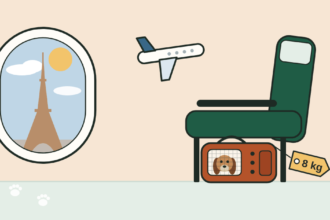 Illustration of a dog in a soft carrier under an airplane seat, with the Eiffel Tower in the window