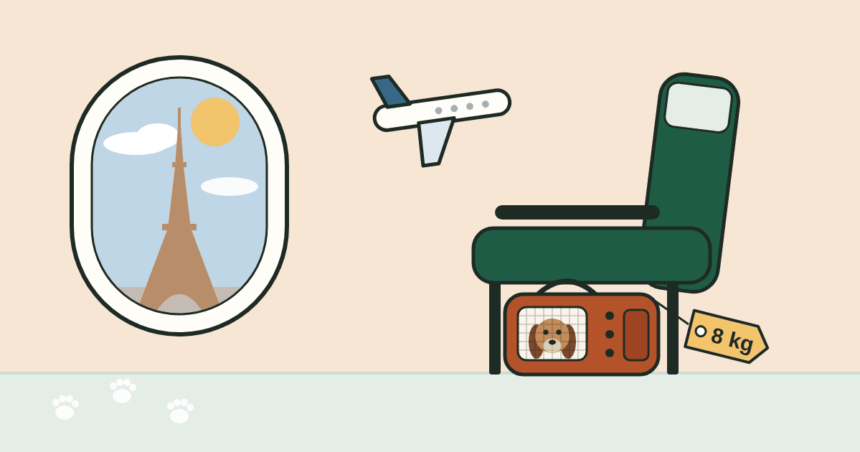 Illustration of a dog in a soft carrier under an airplane seat, with the Eiffel Tower in the window