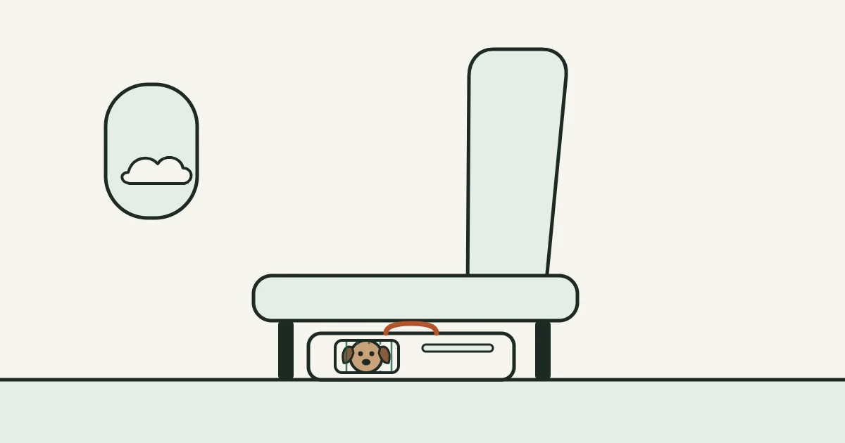 Illustration of a small dog peeking out of a soft pet carrier under an airplane seat