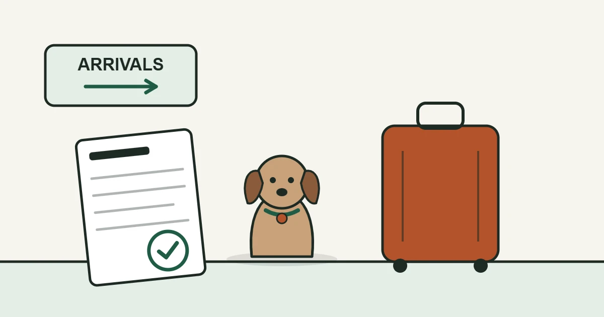 Illustration of a dog beside a suitcase at an arrivals gate with a checked entry form