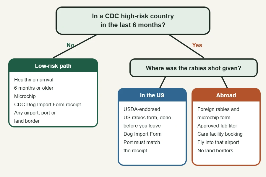 Decision diagram of the three CDC entry paths for dogs: low-risk, US-vaccinated from a high-risk country, and foreign-vaccinated from a high-risk country