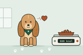 Illustration of a Cocker Spaniel sitting beside a kitchen scale with a bowl of kibble