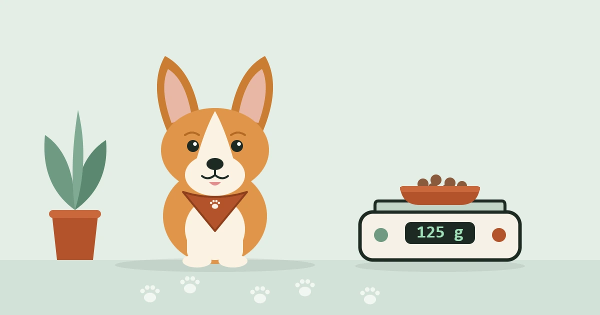 Illustrated Corgi in a travel bandana sitting beside a kitchen scale holding a bowl of kibble
