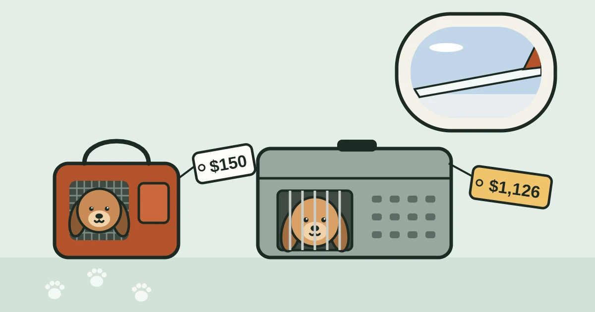 Illustration of a small dog in a soft carrier tagged 150 dollars beside a large dog in a hard airline kennel tagged 1,126 dollars, under an airplane window