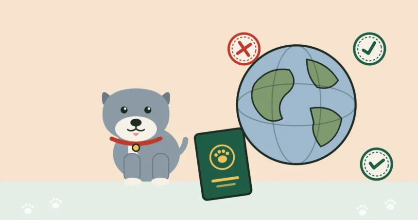 Illustration of a grey pit bull beside a passport and a globe with entry stamps