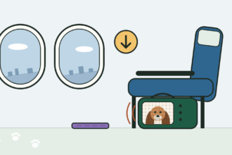 Illustration of a long-eared dog in a soft carrier under an airplane seat as the plane descends