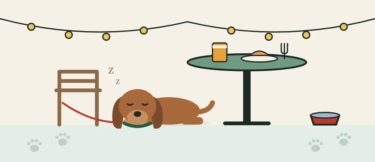Illustration of a dog asleep under a patio table beside a water bowl