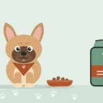 Illustrated French Bulldog in a travel bandana sitting between a bowl of kibble and a bag of dog food