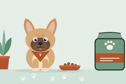 Illustrated French Bulldog in a travel bandana sitting between a bowl of kibble and a bag of dog food