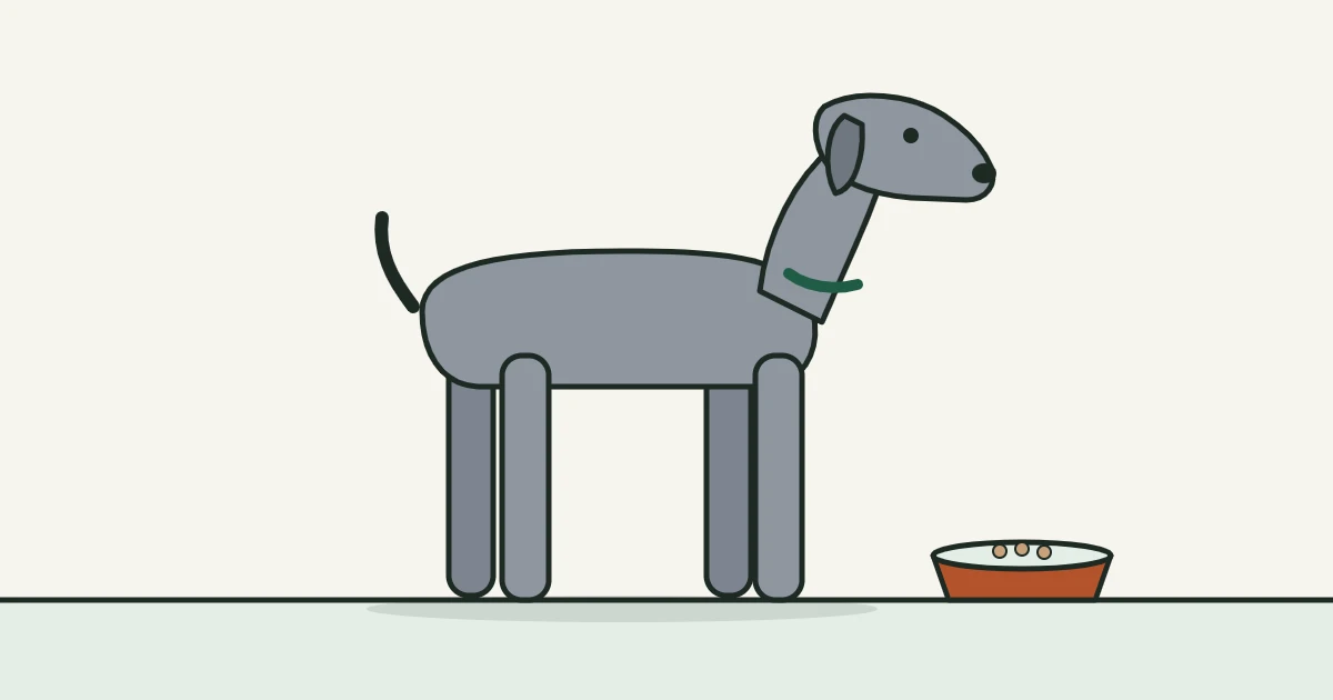 Illustration of a Great Dane beside a food bowl on the floor