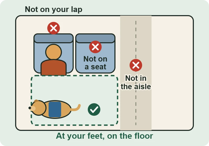 Diagram of a bus row: the service dog lies on the floor at the passenger’s feet, and is not allowed on a seat, on a lap or in the aisle