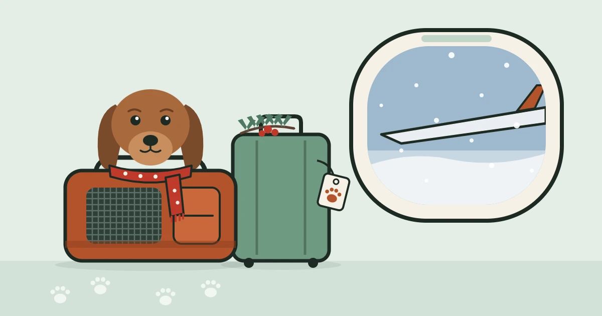 Illustration of a small brown dog in a red scarf peeking out of a pet carrier beside a suitcase, with snow falling past an airplane window