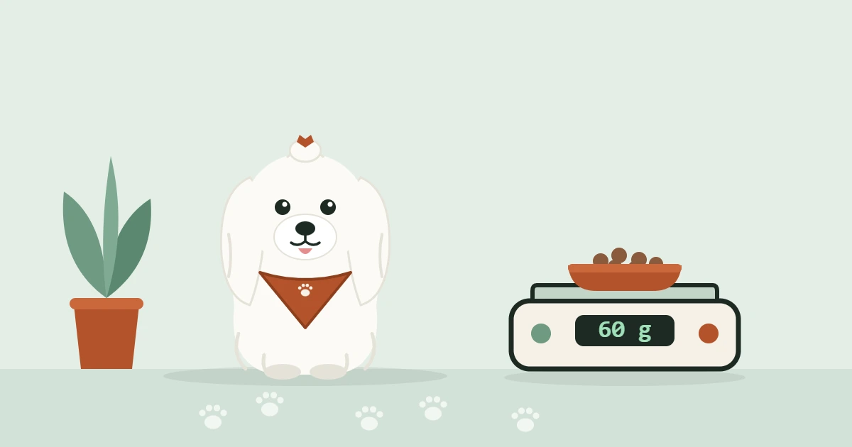 Illustrated Maltese with a topknot and travel bandana beside a kitchen scale reading 60 g