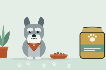 Illustrated Miniature Schnauzer in a travel bandana sitting between a bowl of kibble and a bag of dog food