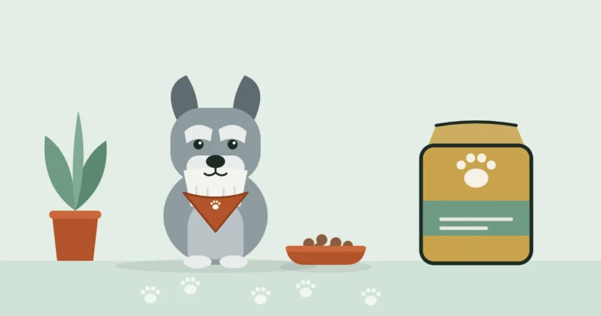Illustrated Miniature Schnauzer in a travel bandana sitting between a bowl of kibble and a bag of dog food