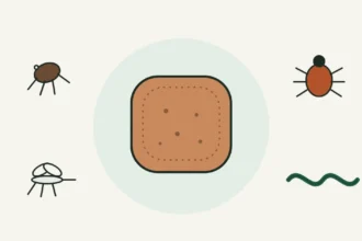 Illustration of a beef-flavored chewable tablet surrounded by a flea, a tick, a mosquito and a roundworm